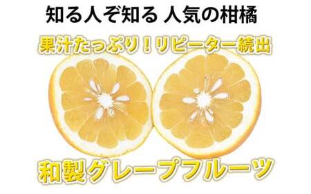 訳あり 河内晩柑 4kg 晩柑 ばんかん 柑橘類 果物 フルーツ 【2026年7月下旬迄発送予定】