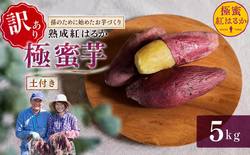 【 冬季 限定 】 【 先行予約 】 【 訳あり 】 高知県産 土付き 熟成紅はるか 極蜜芋 5kg ｜ 紅はるか さつまいも 生芋 熟成芋 高知 焼き芋 やきいも おやつ 農家直送 産地直送 WADA FARM 高知県 南国市