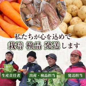 y161 ≪訳あり・数量限定≫湧水町産有機にんじん(約10kg) 国産 九州産 鹿児島産 有機野菜 有機栽培 にんじん 人参 ニンジン キャロットジュース 野菜 やさい おかず 旬 わけあり 訳アリ 