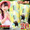 ★令和5年産★『甲佐の輝き』精米20kg（5kg袋×4袋）【配送月選択可！】／出荷日に合わせて精米 ／国産 ブレンド米 白米 訳あり 規格外 送料無料 マイスター 複数原料米 国内産 熊本産 熊本県産 【価格改定】ZB