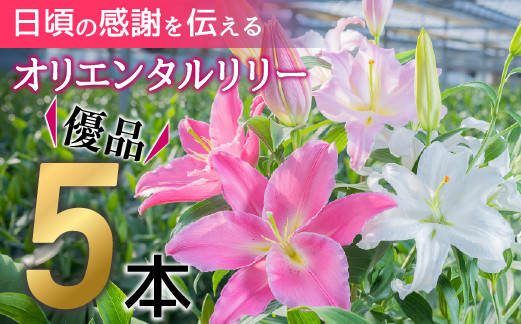 
日頃の感謝を「花束」で、オリエンタルリリー【優品5本】Osy-14 誕生日 植物 フラワー ギフト プレゼント
