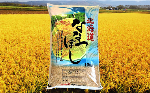 
290036 【令和5年産】北海道産ななつぼし【玄米】10kg×3回 定期便

