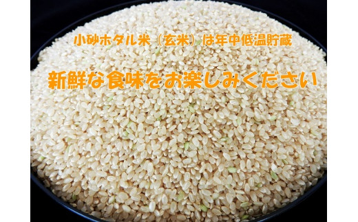 小砂ホタル米（玄米）