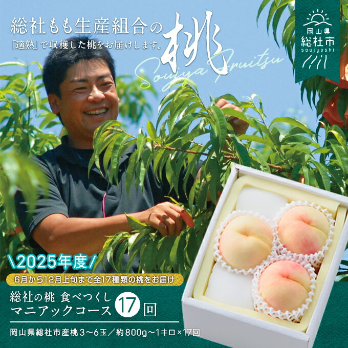 【ふるさと納税】【2025年産先行予約】もも 桃 岡山県 白桃 食べつくし マニアックコース （約1kg×17回配送） 定期便 総社市産 岡山県総社もも生産組合 25-238-001