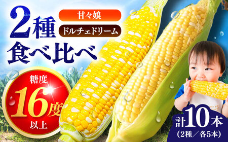 2026年6月上旬より順次発送 スイートコーン ドルチェドリームと甘々娘の食べ比べBHCJ003 スイートコーン 