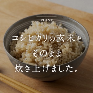 【2026年2月以降順次発送】【お試し】鳥取県日野町産コシヒカリ 玄米ごはん 玄米パック 160g×12個入り おこめのみかた パックごはん パックご飯