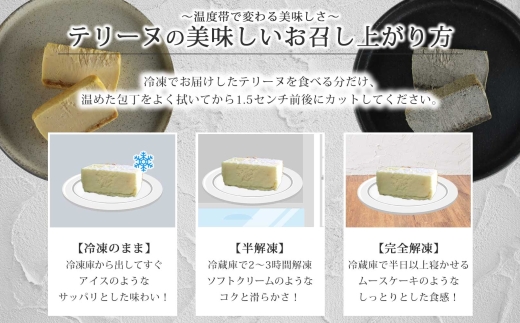 生黒ごまチーズ テリーヌ 450g×1個