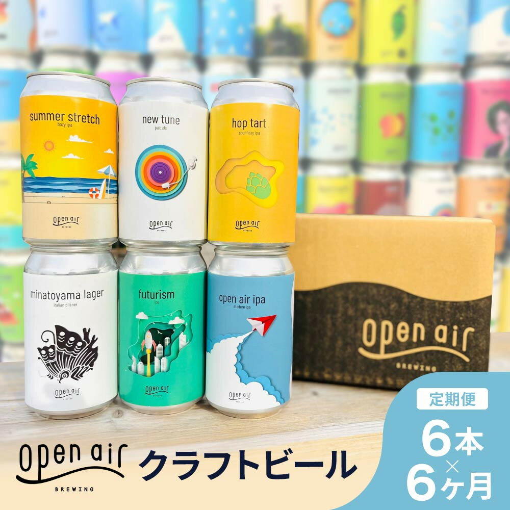 【ふるさと納税】【定期便】open air クラフトビール定期便 半年 ＜全6回毎月お届け＞