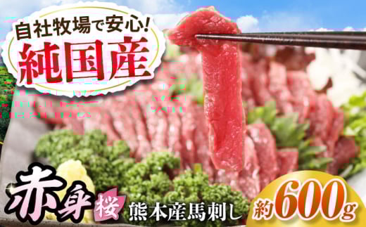 『純国産』熊本の味「桜」赤身 馬刺し スライス 約600g タレ付【有限会社 九州食肉産業】 [AYCN076]