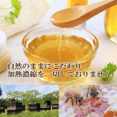 ふるさと納税 日出町 純粋国産百花蜂蜜1kg |  | 01
