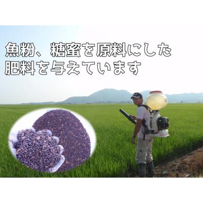 ふるさと納税 弥彦村 新潟県弥彦村石井農園　令和7年産コシヒカリ【玄米 5kg】 |  | 03