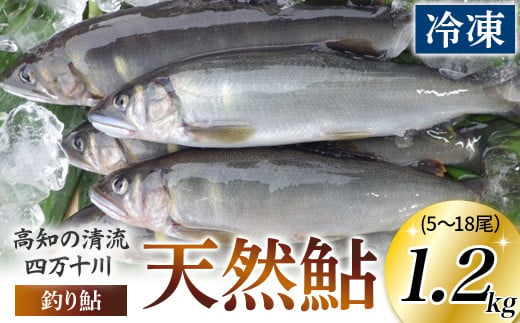 四万十川上流の天然鮎　釣り鮎【冷凍5～18尾】【着日指定不可】Esj-42k
