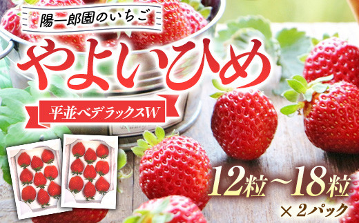 
陽一郎園のいちご 「やよいひめ」 平並べデラックスＷ（ダブル） いちご イチゴ 苺 フルーツ 果物 F4H-0031
