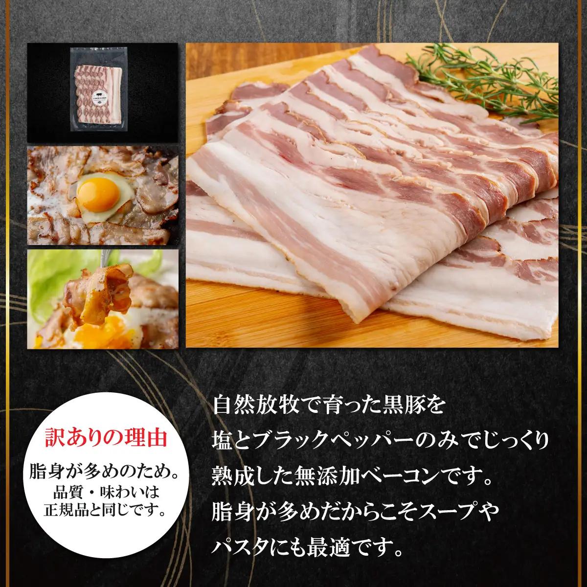 【定期4ヶ月】『訳あり』十勝放牧黒豚 無添加ベーコン 100g×10 SKN090