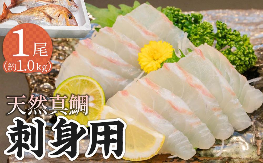 天然真鯛 刺身用（4人～5人前） 372013_ES004