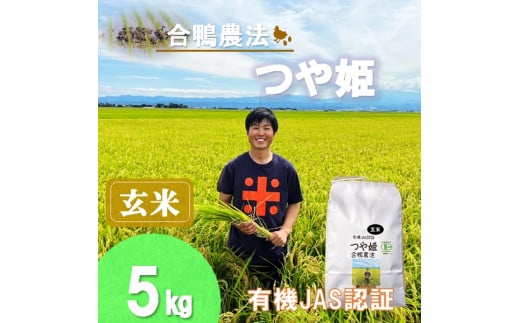 【令和7年産・玄米】ecofarmすがわらの合鴨農法有機JAS認証つや姫5kg※10月下旬頃から順次配送