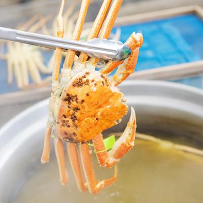 ふるさと納税 宮津市 松葉蟹 ほぐし身(特大) 活き蟹1,000g級使用【甲羅盛り】 |  | 02