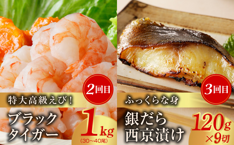 海鮮食べ比べ 定期便 全5回 総量6kg以上【サーモン ブラックタイガー 銀鱈 銀鮭 鰹 訳あり サイズ不揃い 小分け 惣菜 大阪 泉佐野 大阪府 泉佐野市】