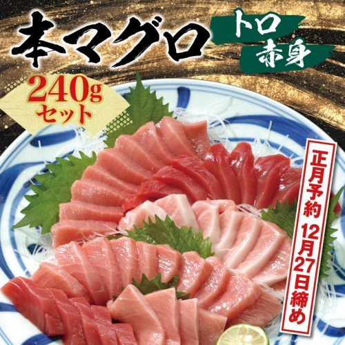 お正月に間に合う！【12月26日～30日発送】【串本町×北山村】本マグロ（養殖）トロ＆赤身セット 240g【nks113-sg】