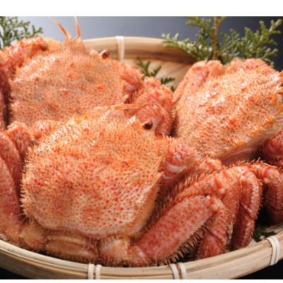 ふるさと納税 網走市 <網走産>毛がに660g前後×3杯