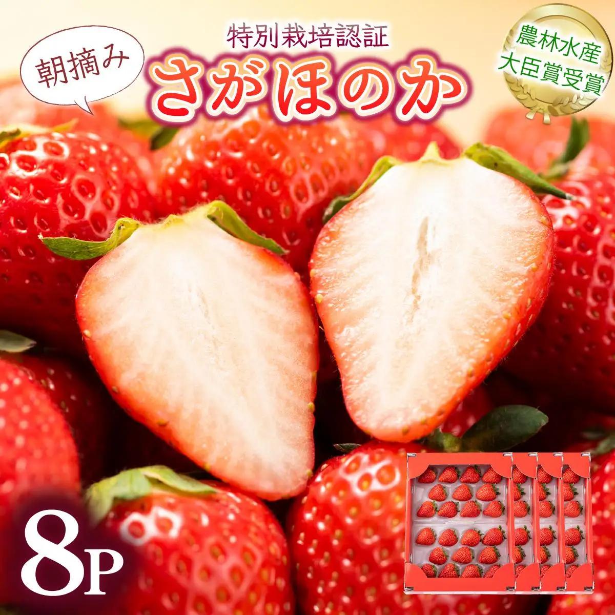 【先行予約】最高級品質”さがほのか” たっぷり1.9kg（235g×8p）