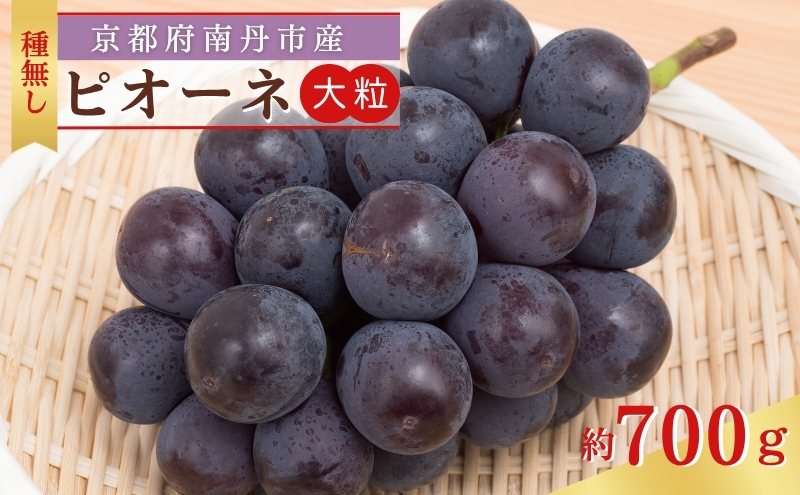 大粒 ピオーネ 1房 (700g前後) 種なし 葡萄 農家直送　ぶどう ブドウ 大粒 フルーツ 果物 南丹市 京都府