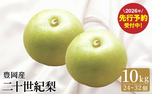 二十世紀梨 10kg （24個～32個）  / 梨 産地直送 みずみずしい シャリシャリ 食感 さっぱり バランスの良い 酸味 甘味 減農薬 なし ナシ 果物 くだもの フルーツ ふくい農園