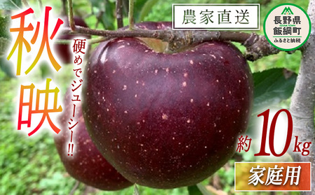 りんご 秋映 家庭用 10kg ファームトヤ 2025年10月上旬頃から2025年10月下旬頃まで順次発送予定 令和7年度収穫分 信州 果物 フルーツ リンゴ 林檎 あきばえ 秋映え りんご3兄弟 長野 予約 農家直送 長野県 飯綱町 [1141]