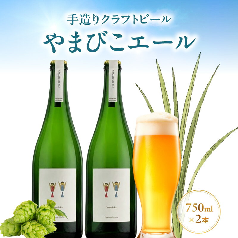 【ふるさと納税】やまびこエール 750ml×2本入りセット 地ビール ビール お酒 クラフト ご当地ビール お土産 土産 宮崎 お酒ギフト 贈り物 おすそ分け グルメ ギフト ふるさと 酒 宮崎県 串間市 送料無料