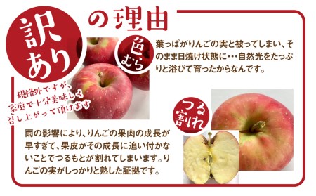 【12月~1月上旬発送】《令和8年産》りんご 訳あり 5kg / 果物 フルーツ 黒内果樹園 [DI030-26]
