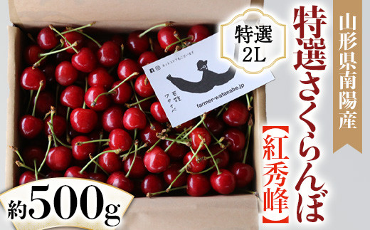 
            【令和7年産先行予約】 さくらんぼ 「紅秀峰」 約500g (特選 2L玉) バラ詰め 《令和7年6月中旬～発送》 『最上園』 サクランボ 果物 フルーツ 産地直送 山形県 南陽市 [1336]
          