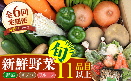 【6回定期便 奇数月コース】野菜 キノコ 果物 11品目 詰め合わせ 野菜 / 吉岡青果 [SCZ005] 