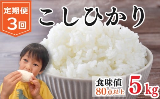 【 先行予約 】 お米 コシヒカリ 5kg 定期便3回 令和7年産 米 こめ ご飯 ごはん おにぎり 白米 食品 備蓄 備蓄米 保存 防災 ギフト 贈答 プレゼント お取り寄せ グルメ 送料無料 徳島県 阿波市 やまさ農園