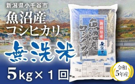 r05-10-4KT 令和5年産 魚沼産コシヒカリ 無洗米 5kg 白米 魚沼 米（米太）