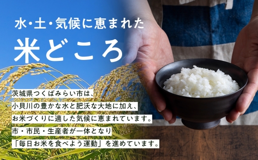 ＜ 7月出荷 ＞ 令和8年産 マイスター 厳選 ブレンド米 5kg（精米）三百年続く農家の特別栽培米 コシヒカリ × 満月もち｜ 特別 栽培 もち米 モチ 茨城産 茨城県産 国産 国産米 新生活 プレ