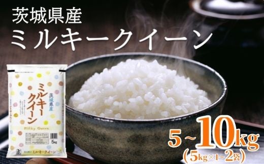 
                  【令和7年産】茨城県産 ミルキークイーン 精米 選べる 5kg 10kg【石崎商店】
                