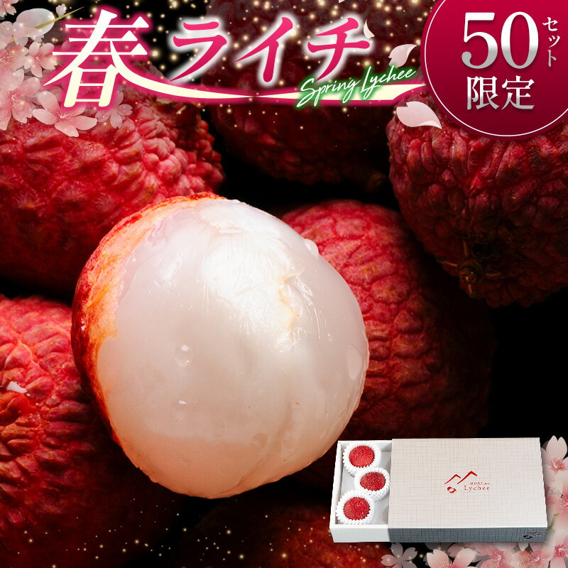 【ふるさと納税】［50セット限定］旬を先取り！4月出荷の春ライチ「モリノライチ」数量限定 ※4月20日～4月28日 期間内出荷 国産 ブランド フルーツ 果物 贈答品