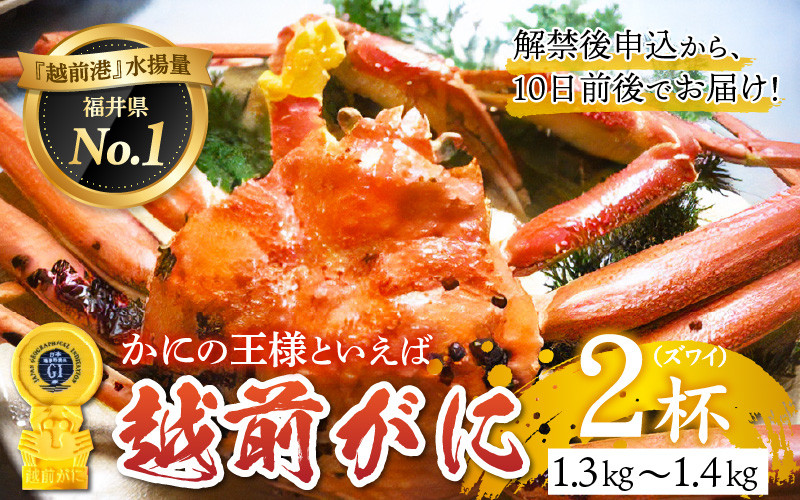 
【産地直送】福井冬の味覚！越前がに 2杯（1.3～1.4kg）【2023年度】[P-00905]　
