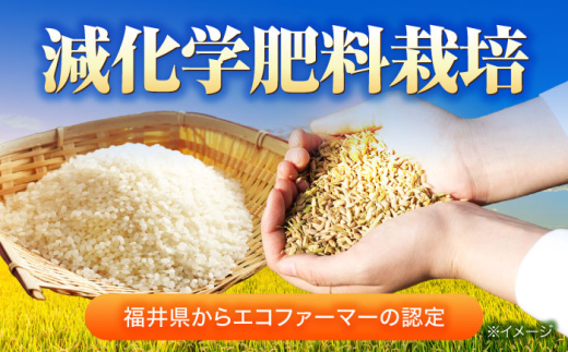 【令和8年産 新米】 【 先行予約 /9月中旬から発送】　福井県産 ラクト農法 コシヒカリ 白米 10kg / 米 お米 精米 国産米   / 小浜市 / 北川博司 [BFDG006]