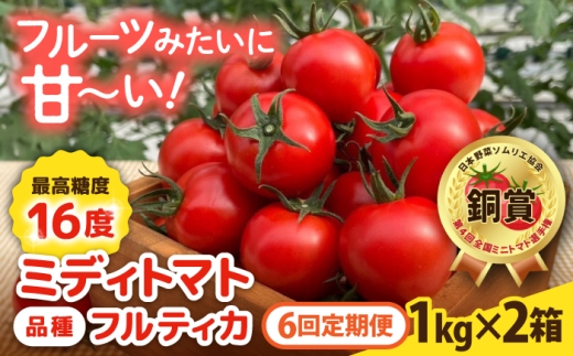 【先行予約】【全6回定期便】 フルティカ 2kg (1kg×2箱)  糸島市 / かわぞえ農園 【2026年11月以降順次発送】 [AAM013]