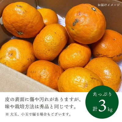 【2026年2月より順次発送】愛媛限定栽培柑橘 甘平(かんぺい)3kg【訳あり】【C25−137】【1138005】