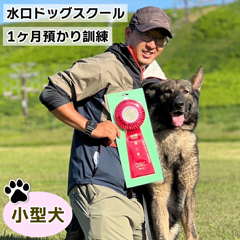 【ふるさと納税】水口ドッグスクール 1ヶ月預かり訓練 (小型犬)｜犬 しつけ レッスン トレーニング 長期 合宿 お泊り 競技 飼い主 印西 千葉 [0507]