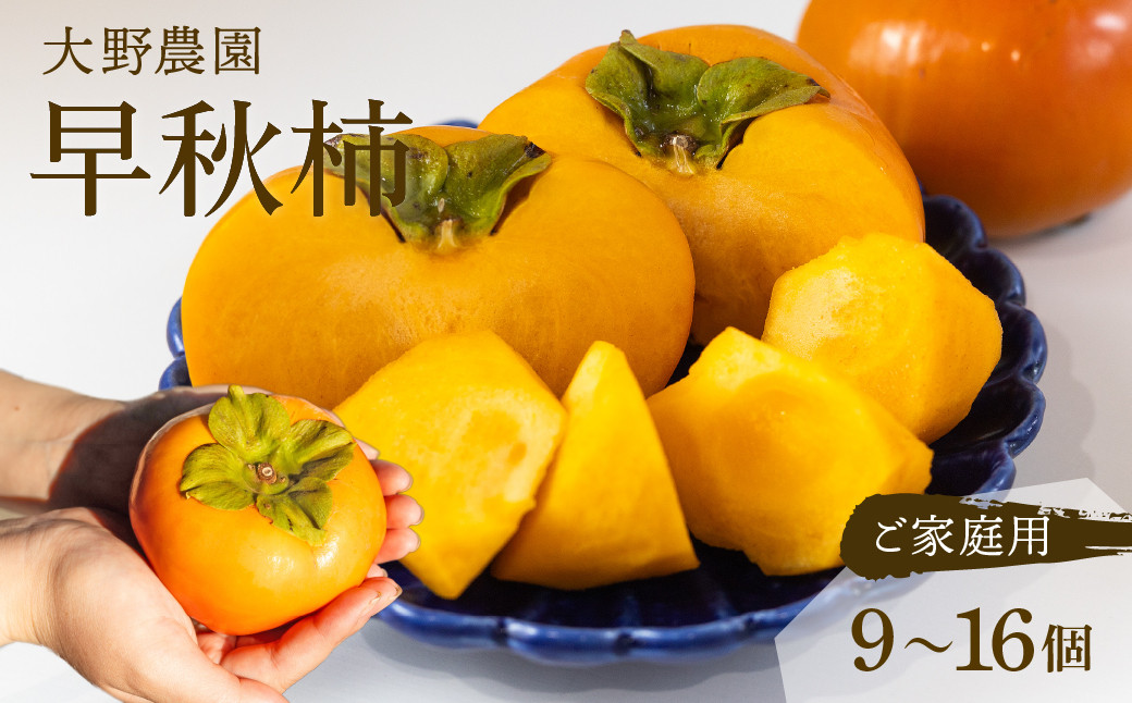 
            [先行予約] 令和8年産《早い甘柿》大野農園の 早秋柿 ご家庭用 (9～16個入) 10月上旬～10月下旬発送予定 訳あり わけあり ワケアリ かき 早秋 フルーツ  カキ 果物 くだもの
          
