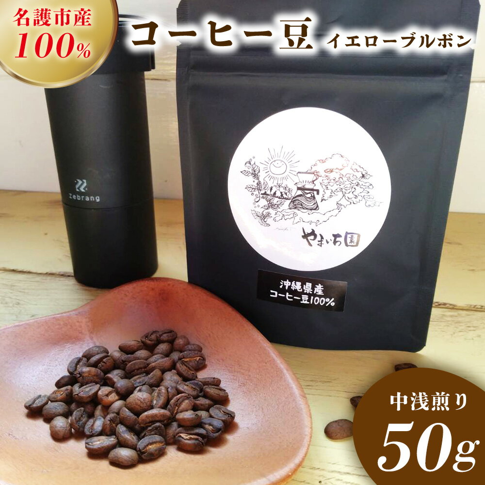 【ふるさと納税】名護市産100％コーヒー豆（イエローブルボン）中浅煎り　50g 沖縄県産 名護市 コーヒー コーヒー豆 イエローブルボン 中浅煎り おいしい おすすめ 焙煎 100％コーヒー豆 人気 お取り寄せ プレゼント お土産 ギフト 贈り物 やんばる おきなわ 名護