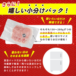 黒豚 鹿児島県産 黒豚 しゃぶしゃぶ 1kg IB119-001