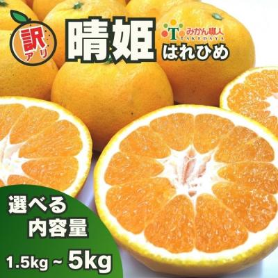 ふるさと納税 愛南町 先行受付【訳あり】 晴姫 はれひめ 3kg 5kg フルーツ 果物 みかん 柑橘 みかん職人武田屋