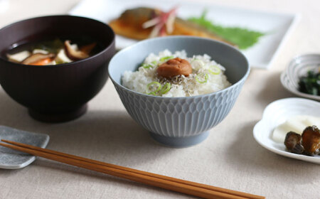 【美濃焼】 さざなみ 茶碗 ブルーグレー 2枚セット 瑞浪市 / 小田陶器 JS企画 皿 お皿 食器 器 飯碗[AZAZ286]