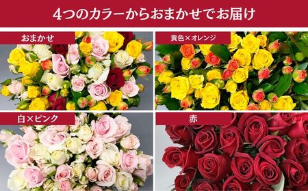 バラ 花束 35本  おまかせ ラッピング有 花 薔薇  生花 愛知県 田原市
