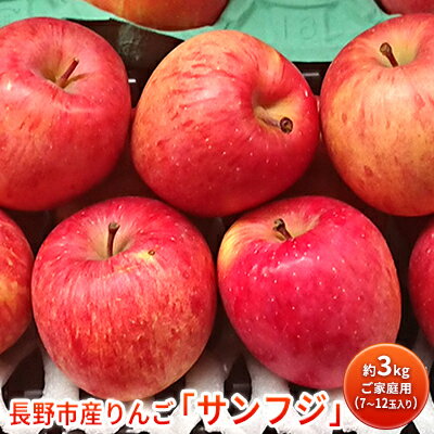 【ふるさと納税】長野市産りんご「サンフジ」約3kg　ご家庭用(7～12玉入り)※配送不可地域あり 果物類 林檎 リンゴ ギフト ふじ 　お届け：2025年11月下旬～2026年2月末日
