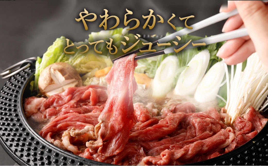 【数量限定 訳あり】【A4・A5】博多和牛 切り落とし 300g×4パック 合計1.2kg